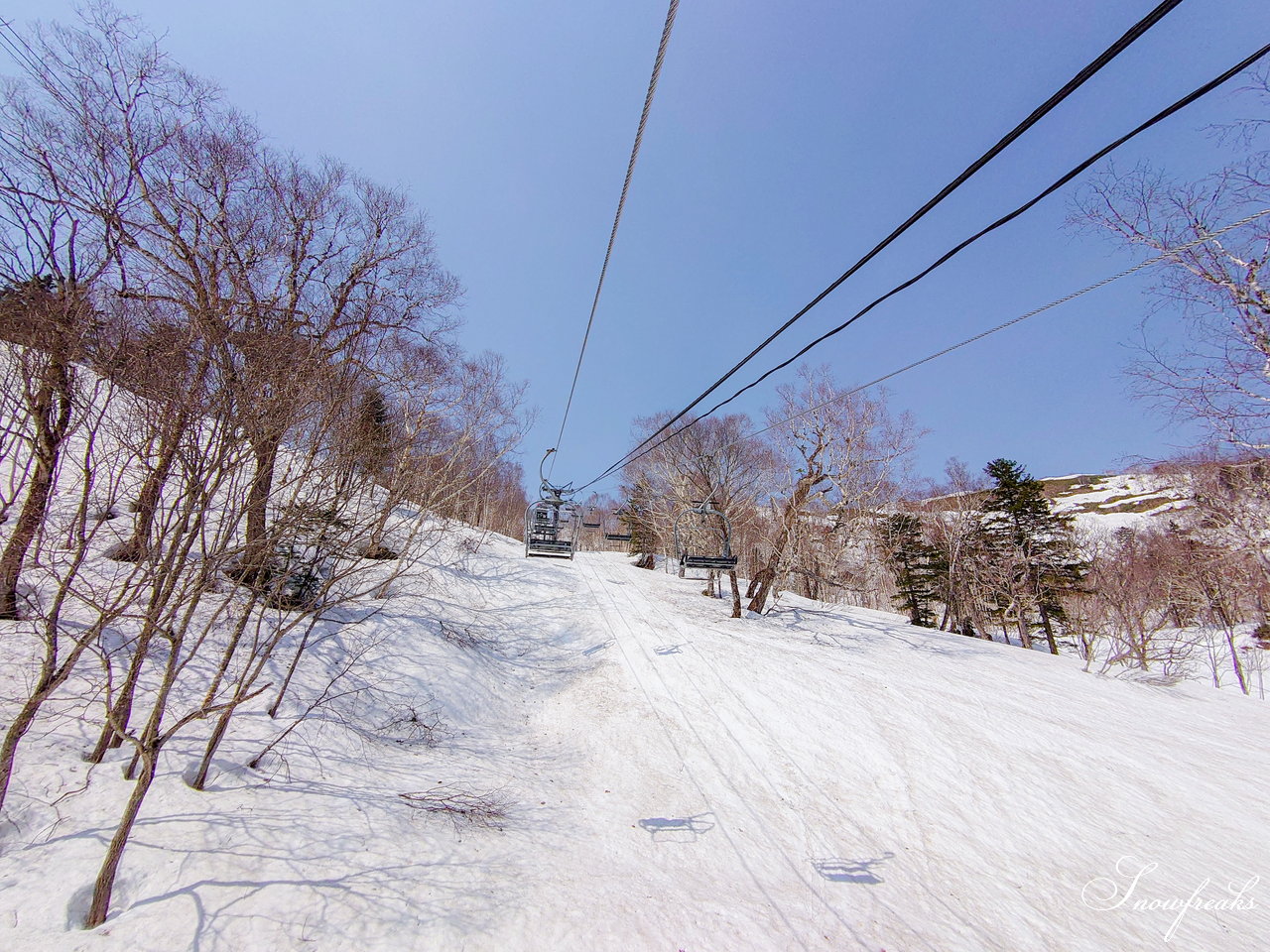 富良野スキー場　さすが富良野！4月24日現在、山麓までの全長約3,000ｍロングコースがオープン中(^^)/